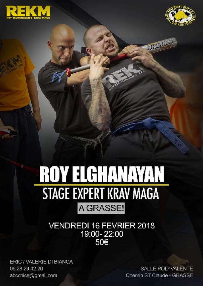 ABCC Nice Stage Expert Krav Maga Roy Elghanayan